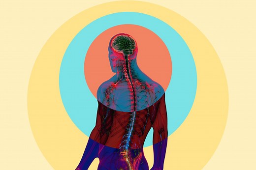 Do You Know the Different Types of Meningitis?