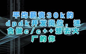 技术大佬的干货分享：通俗易懂讲解dpdk，使用场景，实现原理，dpdk的技术生态