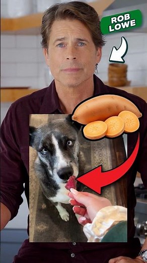 Why Are Sweet Potatoes Good For Dogs? Rob Lowe Explains