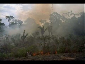 Songs of a Distant Earth Part 6 of 7 (HQ) - Man