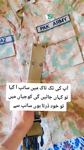 Funny Moments with Snakes in Army Life