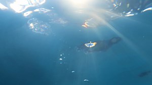 2632737-hd_1920_1080_24fps