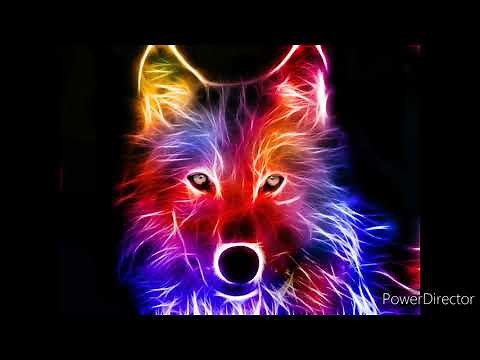 Rainbow wolf (Official Music Video)
