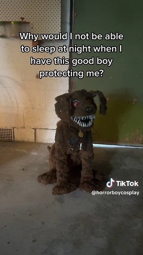 Fetch Fnaf Animatronic Video