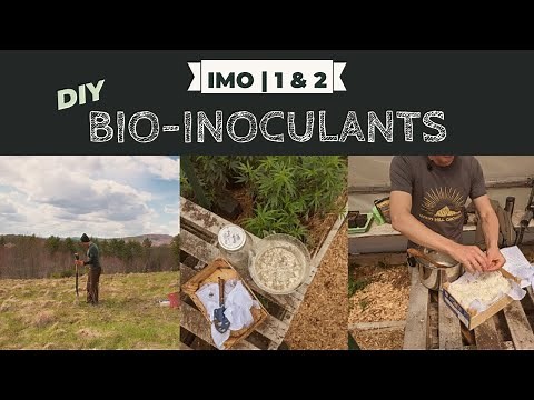 Collecting Indigenous Microorganisms / IMO 1 & 2