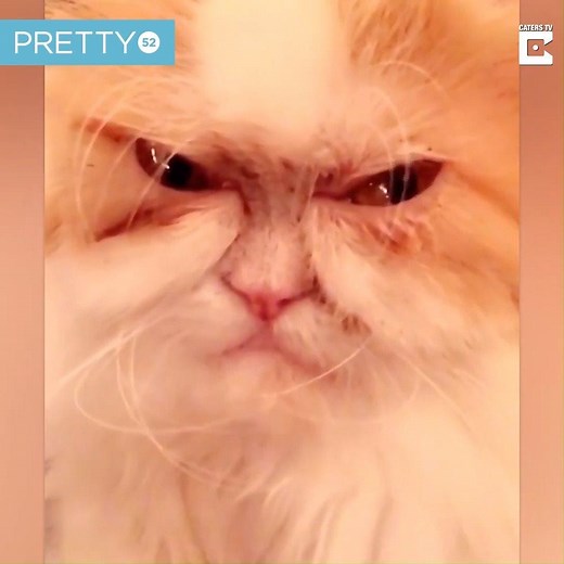 Me when anyone tries to talk to me on a Monday 😠 | Tyla