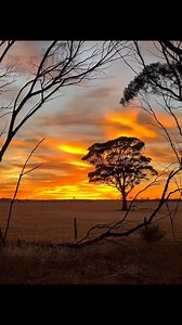 54K views · 2.3K reactions | Australian Outback Photography - Subscriber | Australian Outback Photography | Facebook
