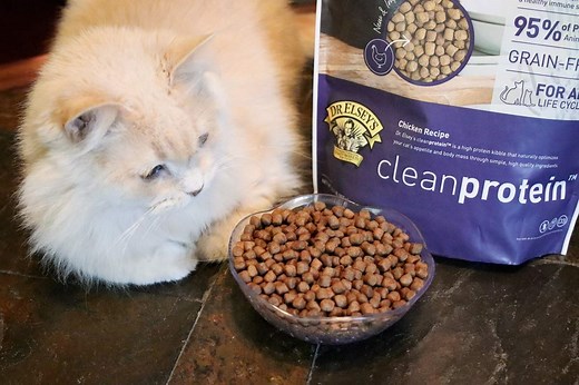 Unbiased Dr. Elsey's Cat Food Review - Cats.com