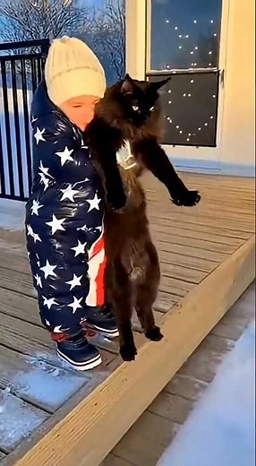 малой и кот ныряют в снег