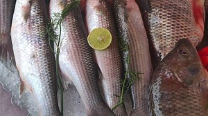 159 reactions · 34 shares |  { وَجَعَلْنَا مِنَ الْمَاءِ كُلَّ...