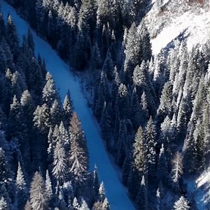 We're excited to share that the Upper Mill Creek Canyon Road beyond Winter Gate will reopen for non-motorized winter recreation on December 15! As equipment leaves the area, crews have been plowing the roadway, so expect slightly drier conditions until we get more snowfall. Everything will be left safe, accessible, and ready for winter use, and the Winter Gate will remain closed as normal for the season. Learn More: slco.to/FLAP-Winter ❄️🚴‍♀️⛷️ #UpperMillCreekCanyon #MillCreekCanyon #WinterRecr