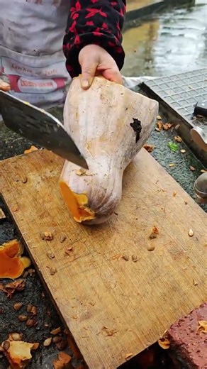 Capture the Beauty of Spring Equinox: A Delightful Journey