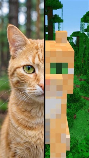 They made Minecraft Cats into a real thing... 🐱🧱 #shorts