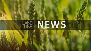 News: Rural and regional issues making the news