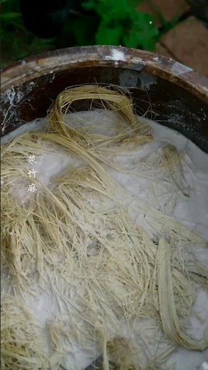 बांस से कागज़ बनाने का असली और पारंपरिक तरीका | Bamboo Paper Making Process#youtubeshorts