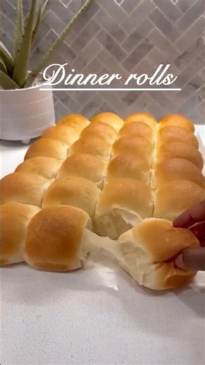 Best Dinner-rolls