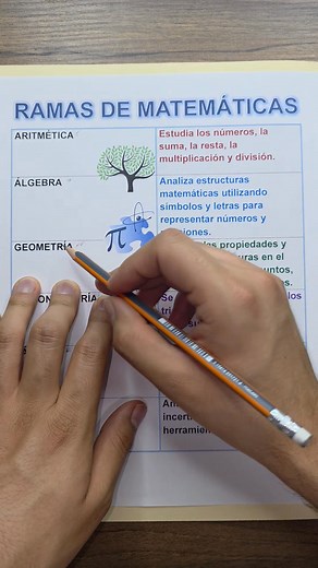 Conoce las Ramas de las matemáticas!🤓👌 | Tus Matemáticas Científicas