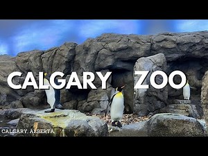 Calgary Zoo - Complete walk through Tour in 4k 2025 | Alberta, Canada | World's Top Rated Zoo