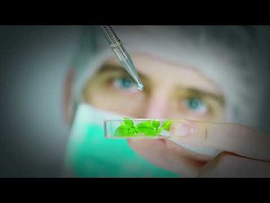 Reducing the Complexity of Multiplex PCR (Trailer)