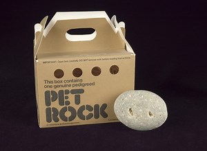 Devote a slab of your day to our Pet Rock live stream