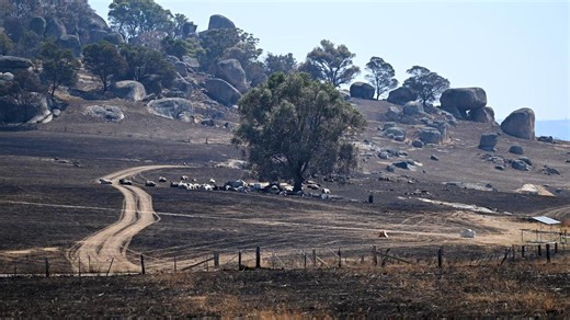Recovery mission begins amid ongoing bushfire disaster