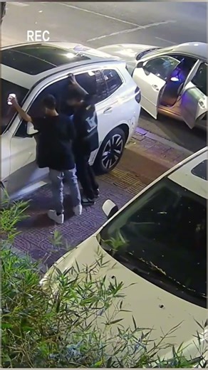 🚨🚨🚨This is crazy, watch out of your car #pickpocket #stolen #theft #car