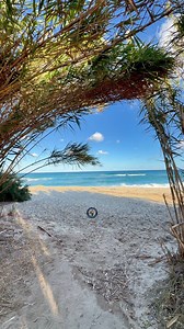 📌 Corbara, la plage de Bodri... 😍 #LaCorseAutrement #Corse #CorsicanLife #Bodri #Corbara | La Corse Autrement