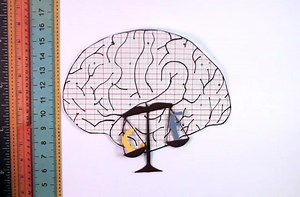 Learning at what age we hit our mental peak.