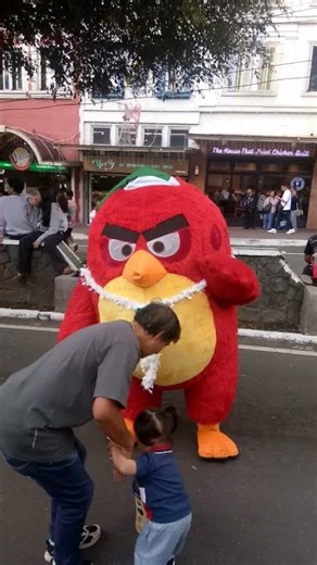 RED ANGRY BIRD #roleplay #angrybirds #shortvideo