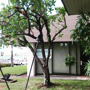 Here at The Original Roy’s in Hawaii Kai enjoy high-end chain serving Chef Roy Yamaguchi’s Hawaiian fusion fare in a beautiful contemporary setting. For more information plea | Hawaii Kai Towne Center