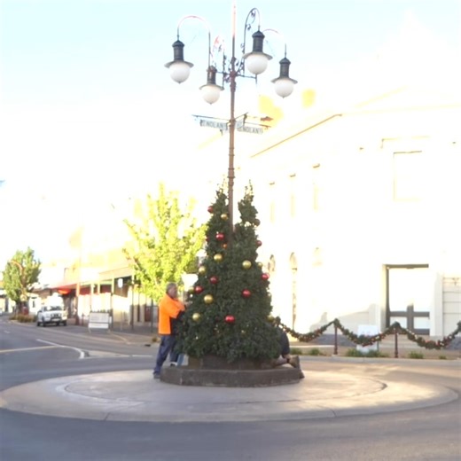 🎄 Our Open Spaces crew worked fast to install Christmas trees across our Shire a little early so students from across Australia arriving for Energy Breakthrough can share in the excitement! 🎅 Of course, Open Spaces also has to get all of our grounds ready for the event, plus give a lot of love to our new cricket pitches on Princes Park Oval. 😱 Did we also mention that Swap With the Lot (Take 2) is back on November 30?? Busy busy busy 🐝🐝🐝 | Central Goldfields Shire Council