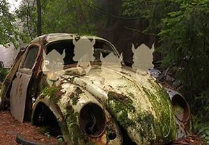 Danger Delusion Forest Escape - Escape Fan