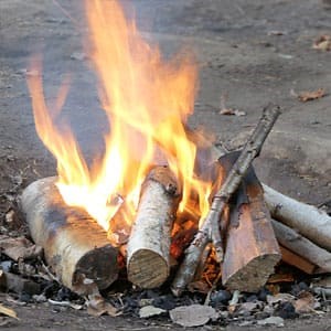 Forest School Activities Module 1: Fire & Pedagogy
