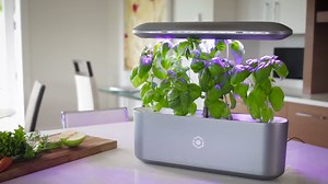 52K views · 12 reactions | This "smart" garden can bring the freshest herbs to your kitchen with minimal effort. | NBC News Science | Facebook