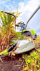 A look inside the CLAAS Jaguar forage harvester working in the field with Fred Walter & Sons | Pro Horizon Farming Content