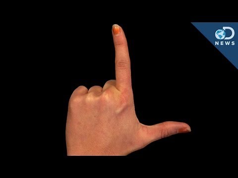 Why Are People Left-Handed?