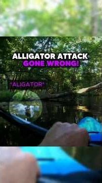 Alligator ATTACK Gone WRONG!😲