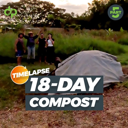 31 reactions | This quick hot compost pile comprises one-third brown...