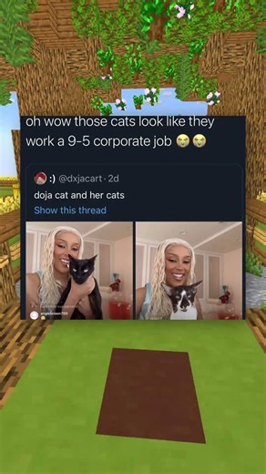 Funny Meme Posts! 😂🤣