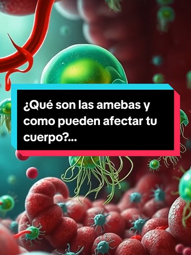 ¿Qué son las amebas y cómo pueden afectarte?