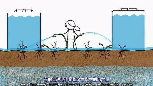 地理动画视频 | 土地盐碱化的成因及治理措施