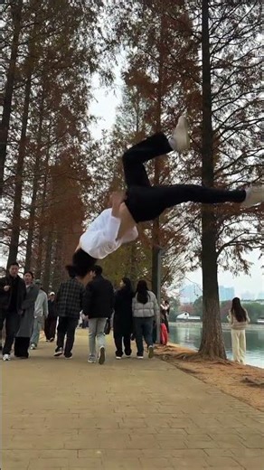 Duck Love: The Envy of Mandarin Ducks in Slow Motion