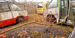 Inside the school bus graveyard at an abandoned service station