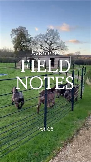 11 reactions · 3 comments | Field Notes Vol. 05 - quiet moments worth noticing at Everards Farm  An ongoing story of rural peace out in the Somerset countryside. From exclusive stays to one-of-a-kind events, Everards Farm is the destination of your next magical stay. Ready to discover Somerset’s best kept secret? Link in bio to book  | Everards Farm | Facebook