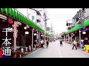 【京都おすすめ】ぶらり千本通 気まぐれ散歩【京のココ見といやす】【京都観光旅行】
