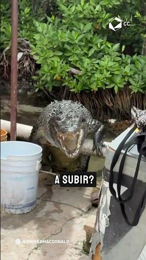 Cancún in its purest and most inexplicable state