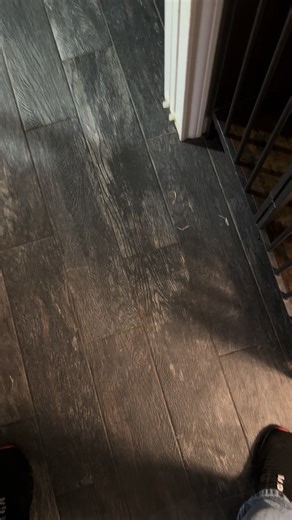 Cerberus is 15 months old and about 165 lbs. He said let’s play hide and seek. #canecorso #puppiesoftiktok #familyprotection #k9softiktok