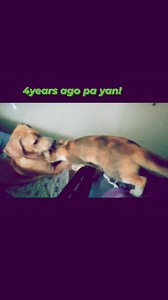 4yrs ago pa yan.. Nagrunfree na si meming. | Winnie M. Mangmang