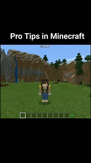 Expert Minecraft Tips: Minecraft Gameplay Tips and Tricks