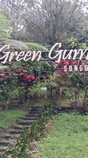 Silaturahi Ex 83 Banyuwangi #CapCut